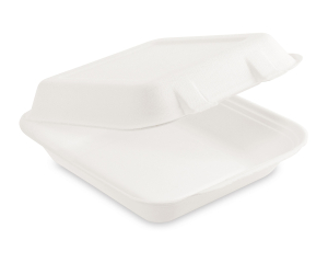 Menüboxen Lunch-Boxen Sandwichbox Zuckerrohr 220x200x67mm, 50 Stk.