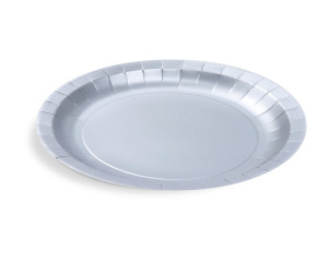 Pappteller Silber Ø23 cm - FSC Einwegteller für Party, Geburtstag, Hochzeit, 10 Stk.